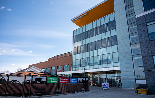 首页-人生就是博